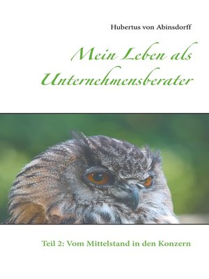 cover image of Teil 2: Vom Mittelstand in den Konzern